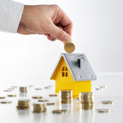 Tailored Financing Solutions Across New Zealand