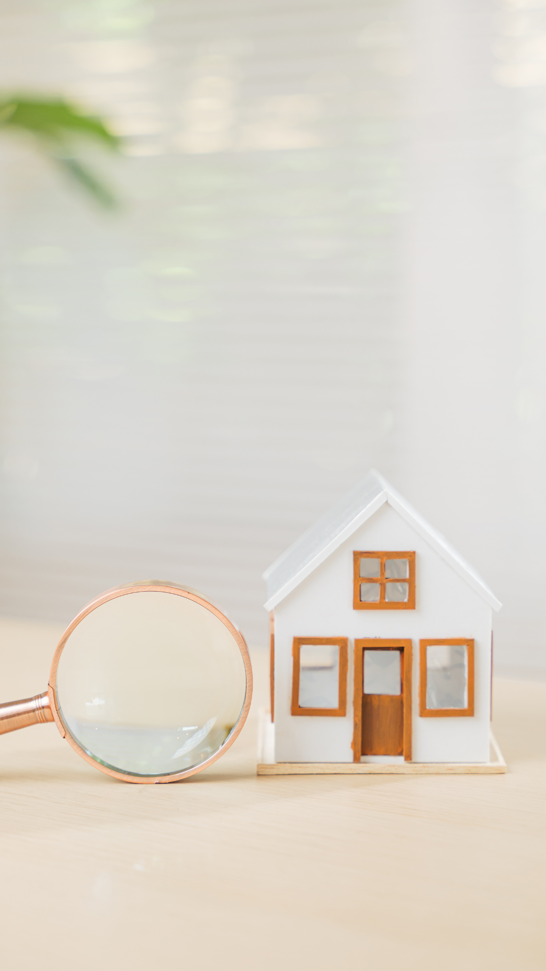 Tailored Financing Solutions Across New Zealand