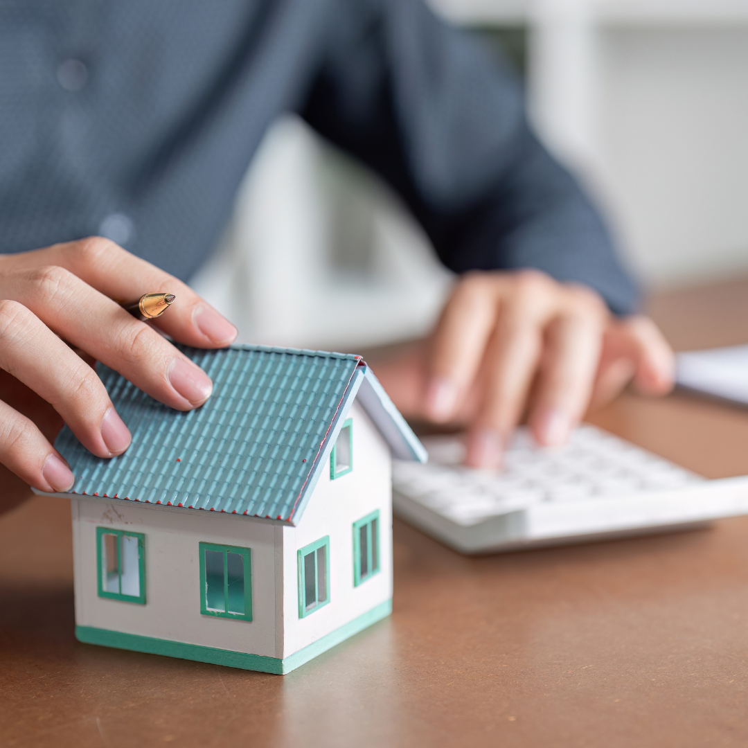 Tailored Financing Solutions Across New Zealand